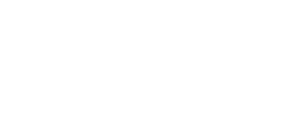 PinabppleSupport logo
